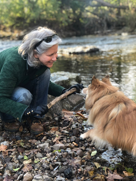 The Adventures of Lucy G. Bohannon