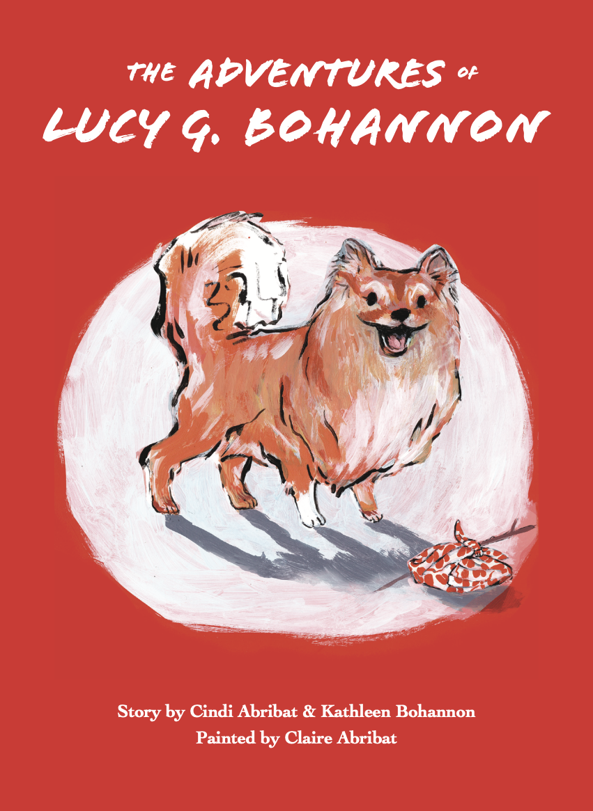 The Adventures of Lucy G. Bohannon (Hardcover)