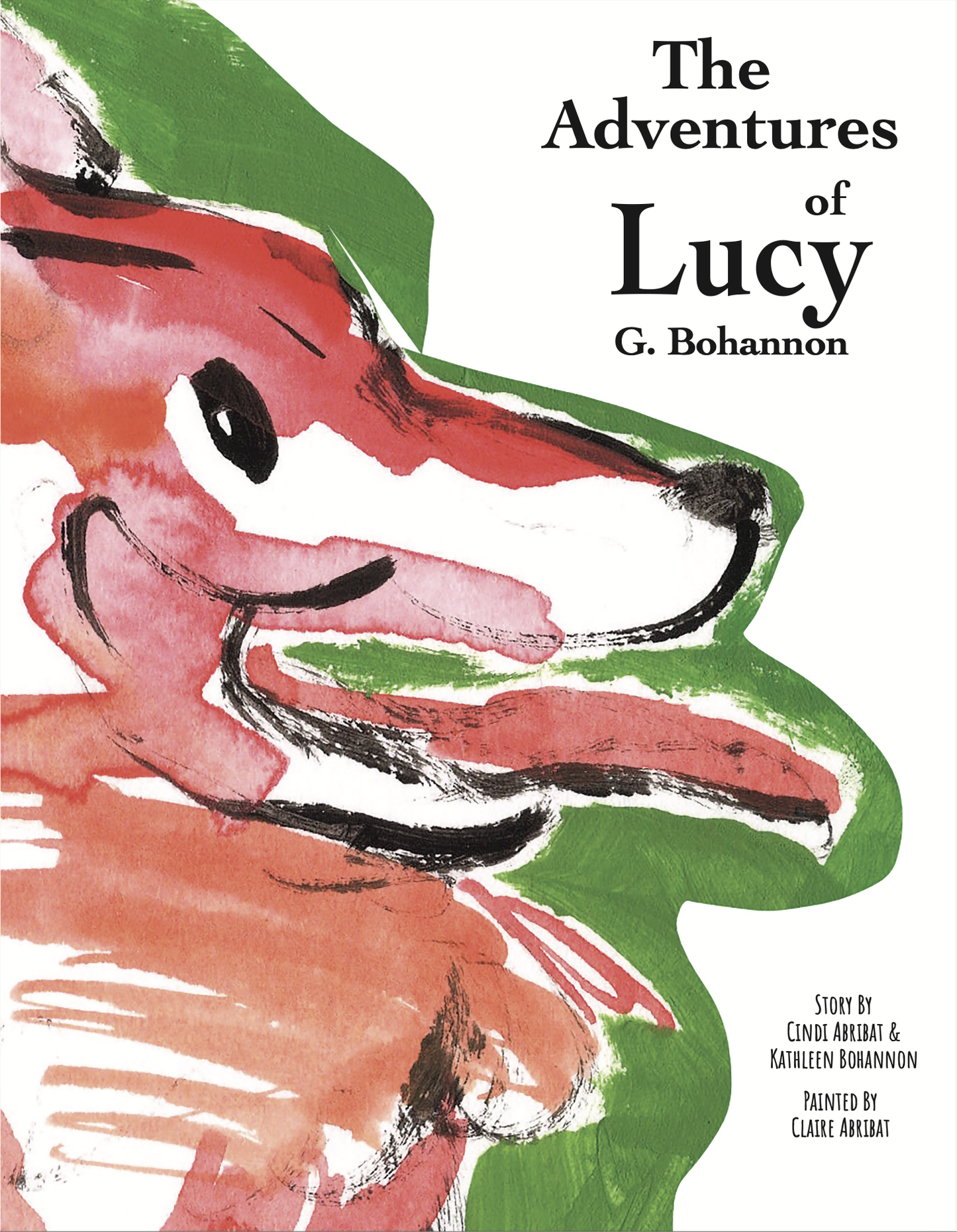 The Adventures of Lucy G. Bohannon (Hardcover)